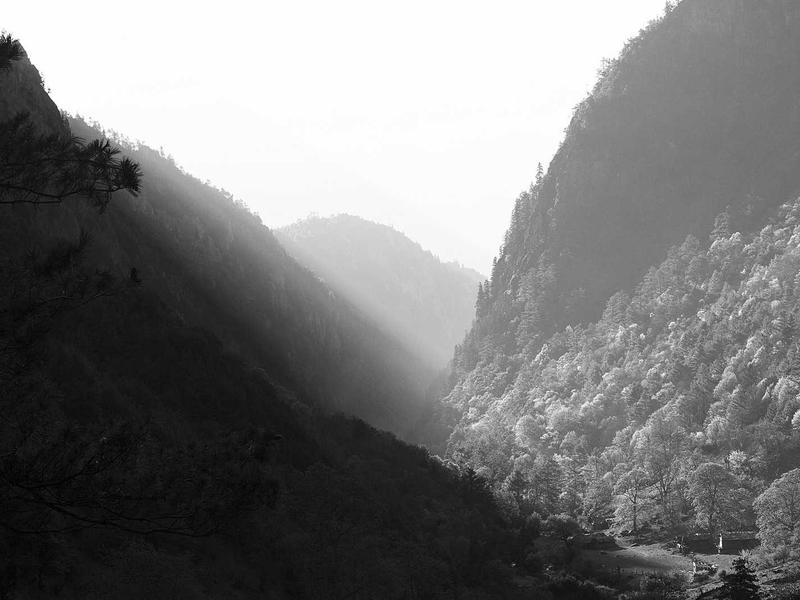 Equipo JorvenCenriVoorven